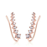 RoséLuxe™ Zircon Drop Hook Earrings – Pure Elegance in Every Sparkle