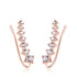 RoséLuxe™ Zircon Drop Hook Earrings – Pure Elegance in Every Sparkle